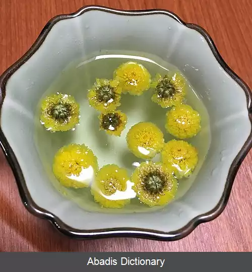 عکس چای گل داودی