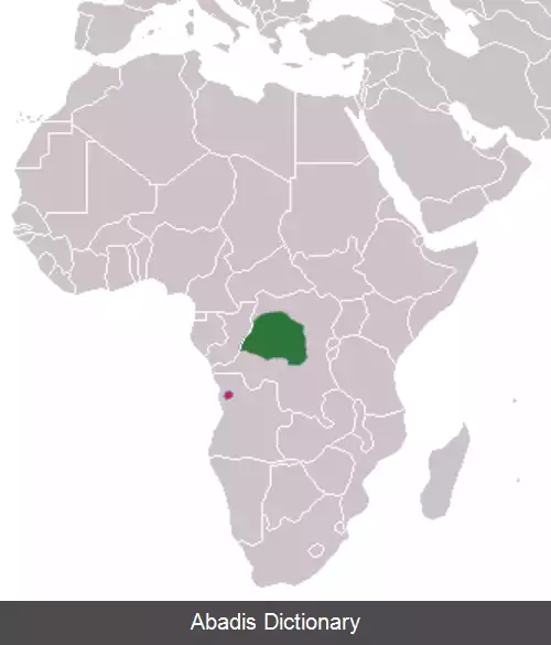عکس خدنگچه آنگولایی