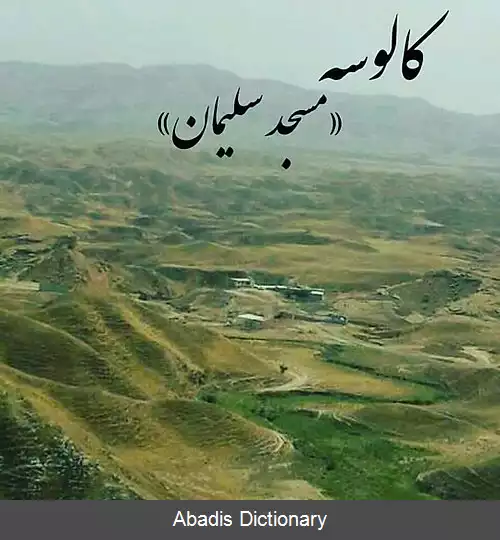 عکس کالوسه