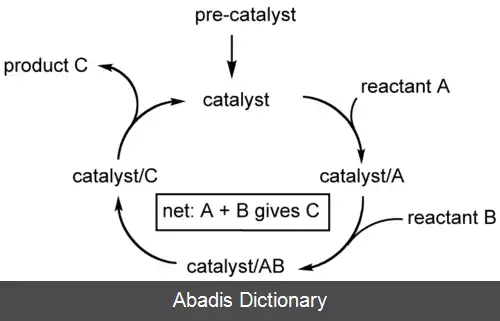 عکس چرخه کاتالیزوری