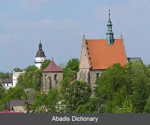 عکس زیدووویچ