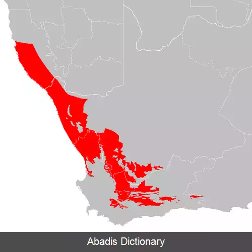 عکس دشت خوان کارو
