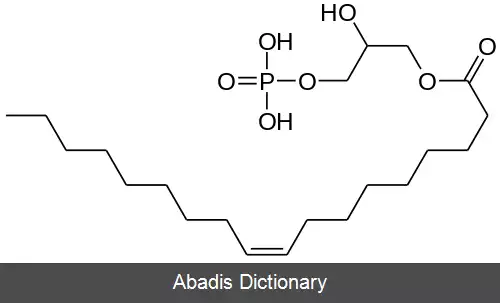 عکس لیزوفسفاتیدیک اسید
