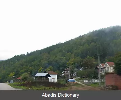 عکس ملکومینتسی