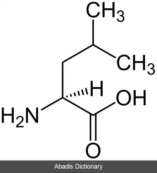 عکس آمینواسید شاخه دار