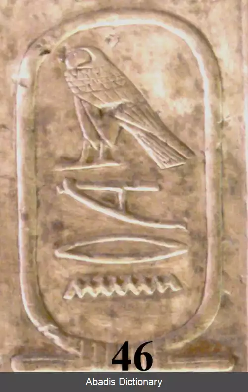 عکس مرنهور