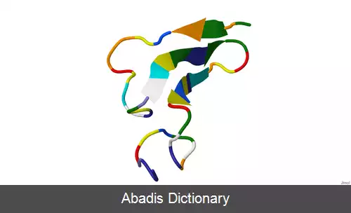 عکس اپی رگولین