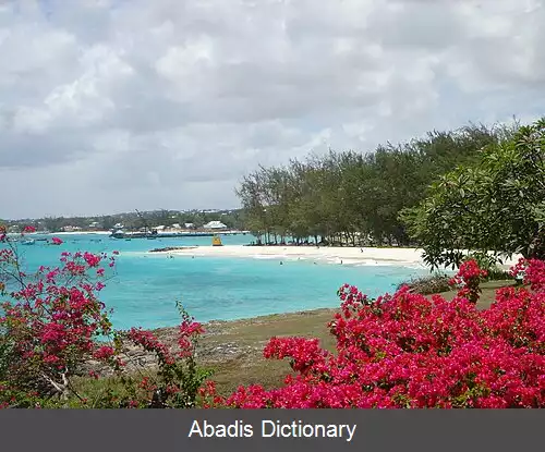 عکس اویستینز