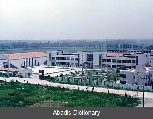عکس ویکتور راکتس