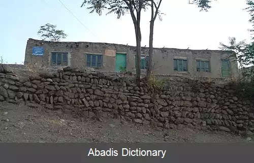 عکس دوجناب