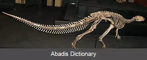 عکس درایوسور