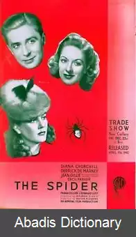 عکس عنکبوت (فیلم ۱۹۴۰)