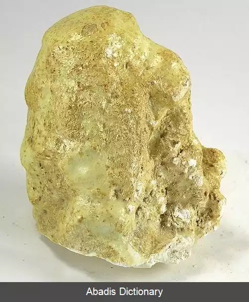 عکس کوپیاپیت
