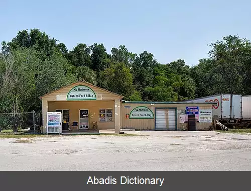 عکس آستین فلوریدا