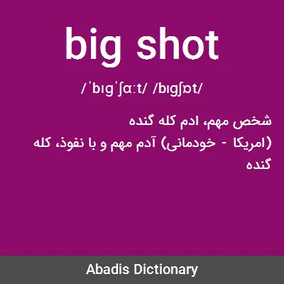 ترجمه کلمه big shot به فارسی