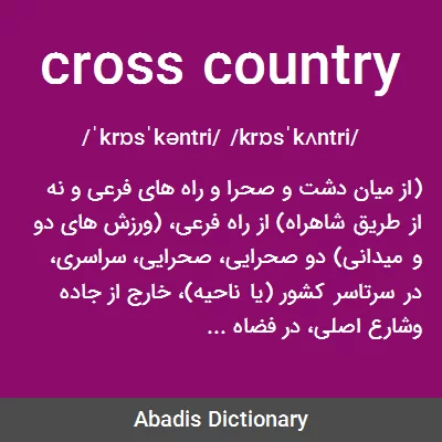 cross check - معنی تخصصی در دیکشنری آبادیس