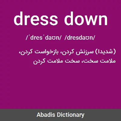 Dress Definition & Meaning | Britannica Dictionary