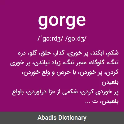gorge meaning in Hindi  gorge का हिन्दी अर्थ - Multibhashi
