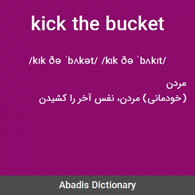 Kick The Bucket Meaning In Urdu, عوام: مرنا، ہوچکنا۔