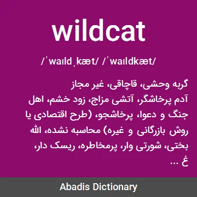 WILDCAT - Definição e sinônimos de wildcat no dicionário inglês